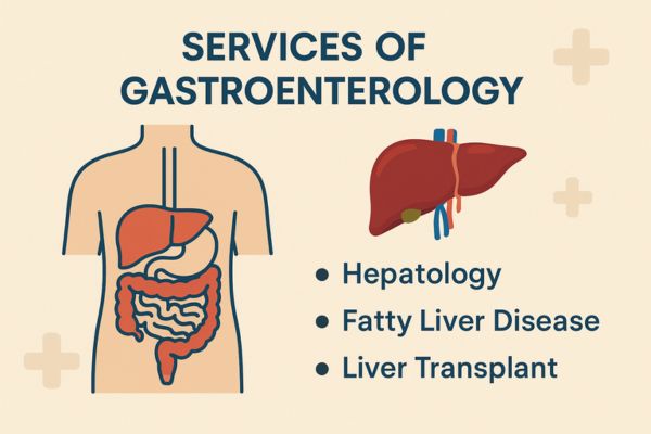 Services of Gastroentrology at Bombay Hospital, Mumbai